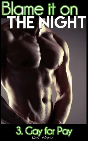 Cover of the book Blame it on the Night | 3. Gay for Pay by Amanda Richol