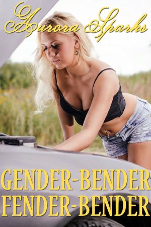 Cover of the book Gender-Bender Fender-Bender by Aurora Sparks