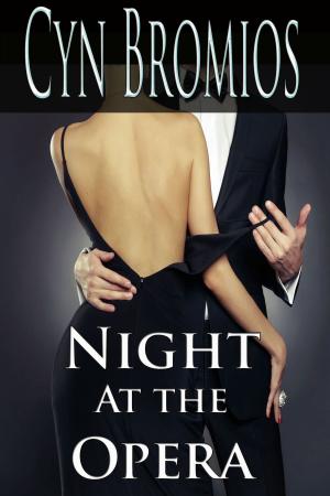 Cover of the book Night at the Opera by Alexa Grave
