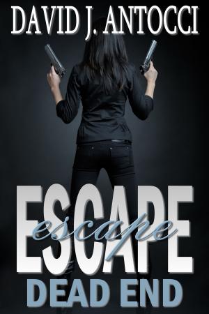 Book cover of Escape Dead End