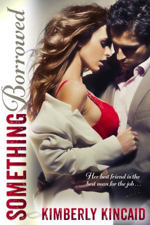 Cover of the book Something Borrowed by Sam Power