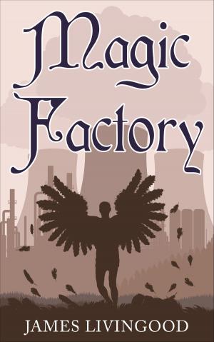 Cover of the book Magic Factory by J.E.B. Spredemann
