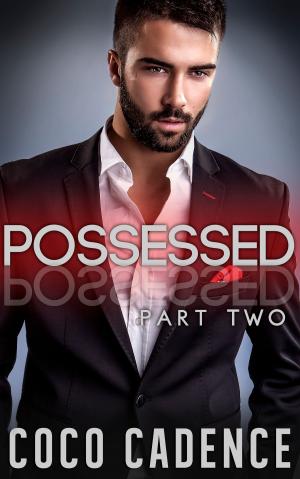 Book cover of Possessed - Part Two