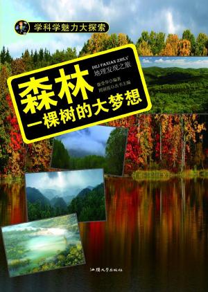 Cover of the book 森林：一棵树的大梦想 by Steve Aranguren