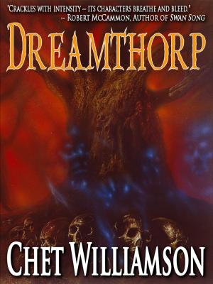 Cover of the book Dreamthorp by C. T. Phipps, Michael Suttkus
