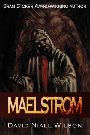 Cover of the book Maelstrom by Carlton Stowers