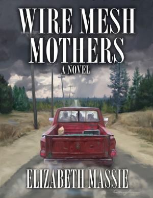 Book cover of Wire Mesh Mothers