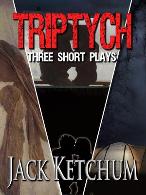 Cover of the book Triptych by Beth Sherman