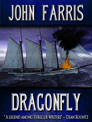 Book cover of Dragonfly