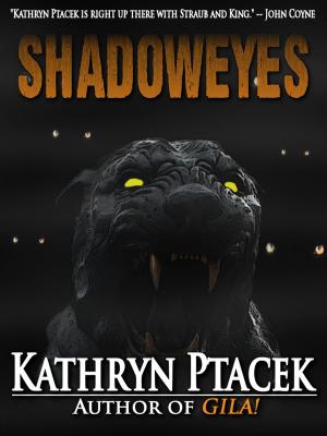Cover of the book Shadoweyes by David Shobin
