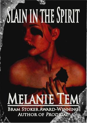 Cover of the book Slain in the Spirit by T.J. MacGregor