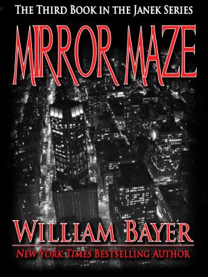 Cover of Mirror Maze