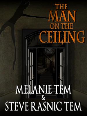Book cover of The Man on the Ceiling