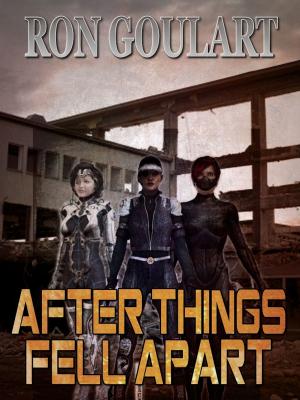 Cover of the book After Things Fell Apart by Stephen Mark Rainey