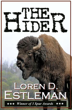 Cover of the book The Hider by David Shobin