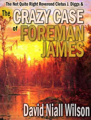 Cover of the book The Not Quite Right Reverend Cletus J. Diggs & The Crazy Case of Foreman James by John Coyne