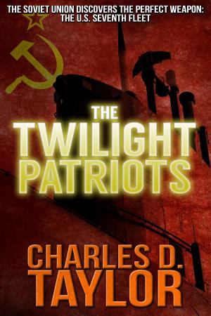 Cover of the book The Twilight Patriots by Rick Hautala