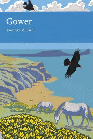 Book cover of Gower (Collins New Naturalist Library, Book 99)