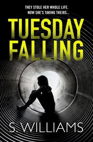 Cover of the book Tuesday Falling by Joanne Lusted