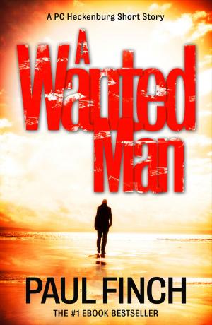 Cover of the book A Wanted Man [A PC Heckenburg Short Story] by Amanda Robson