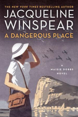 Cover of the book A Dangerous Place by Elizabeth Winder