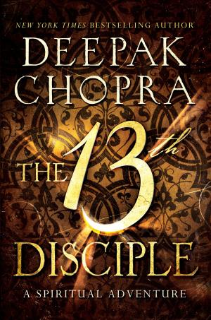 Cover of the book The 13th Disciple by Aimee Molloy