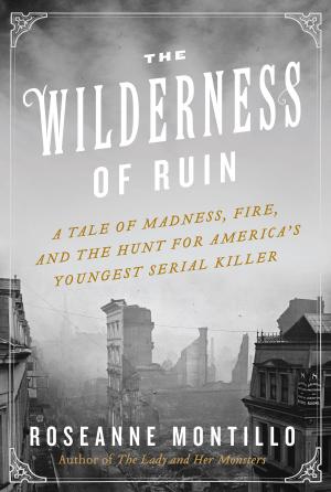 Cover of the book The Wilderness of Ruin by Joshilyn Jackson, Hazel Gaynor, Mary McNear, Nadia Hashimi, Emmi Itäranta, CJ Hauser, Katherine Harbour, Rebecca Rotert, Holly Brown, M. P. Cooley, Carrie La Seur, Sarah Creech