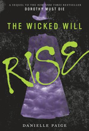Cover of the book The Wicked Will Rise by R. Blair Sands