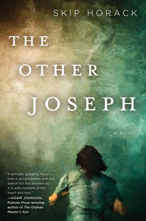 Cover of the book The Other Joseph by Tobias Wolff