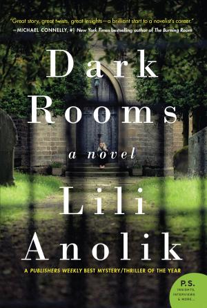 Cover of the book Dark Rooms by Jeff Brown