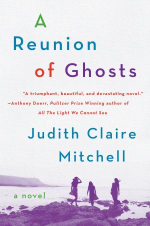 Book cover of A Reunion Of Ghosts