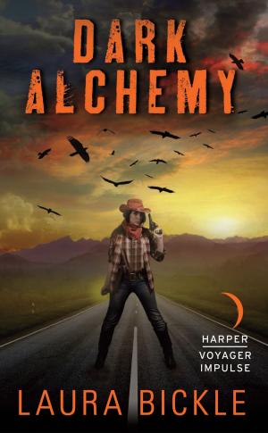 Cover of the book Dark Alchemy by Jessie Mihalik