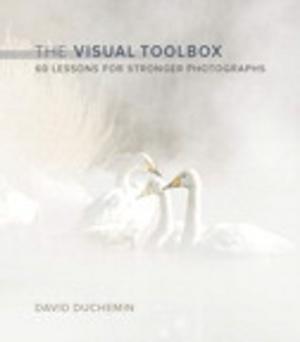 Book cover of The Visual Toolbox