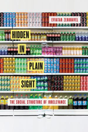 Cover of the book Hidden in Plain Sight by Robert Schmuhl