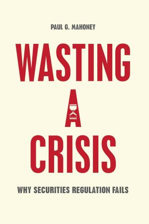 Cover of the book Wasting a Crisis by Delba Winthrop