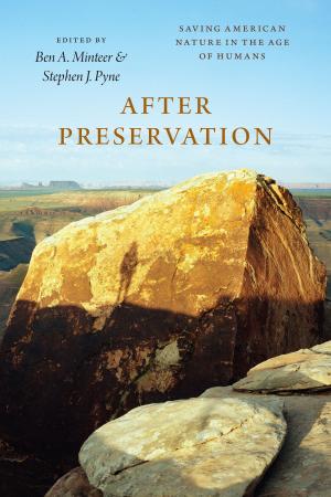 Cover of the book After Preservation by Susanna B. Hecht