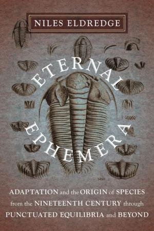 Cover of the book Eternal Ephemera by Partha Dasgupta