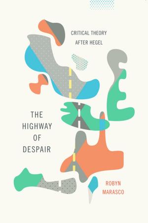 Cover of the book The Highway of Despair by Erica Chenoweth, Maria Stephan