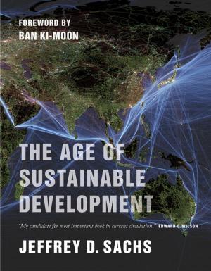 Book cover of The Age of Sustainable Development