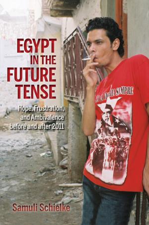 Cover of the book Egypt in the Future Tense by Stefano Bottoni