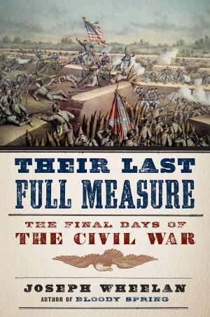 Cover of the book Their Last Full Measure by Krista Varady