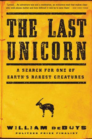 Cover of the book The Last Unicorn by Stuart Prebble