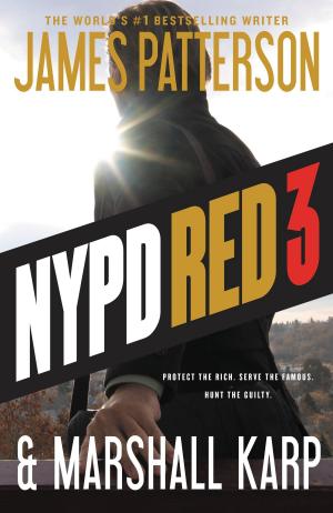 Book cover of NYPD Red 3