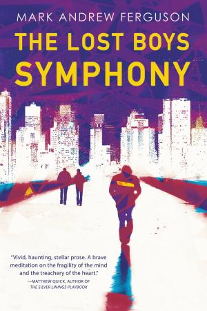 Cover of the book The Lost Boys Symphony by Emily Holleman