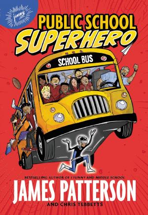 Book cover of Public School Superhero