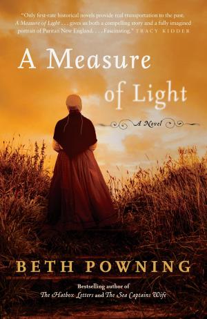 Cover of the book A Measure of Light by Don Coles