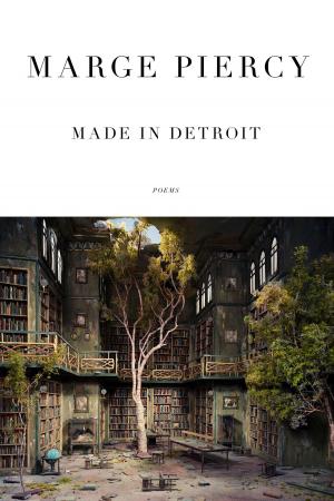 Book cover of Made in Detroit