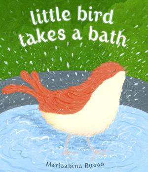 Cover of the book Little Bird Takes a Bath by Jan Bozarth