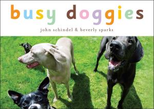 Cover of the book Busy Doggies by Stephen Krensky