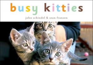Book cover of Busy Kitties